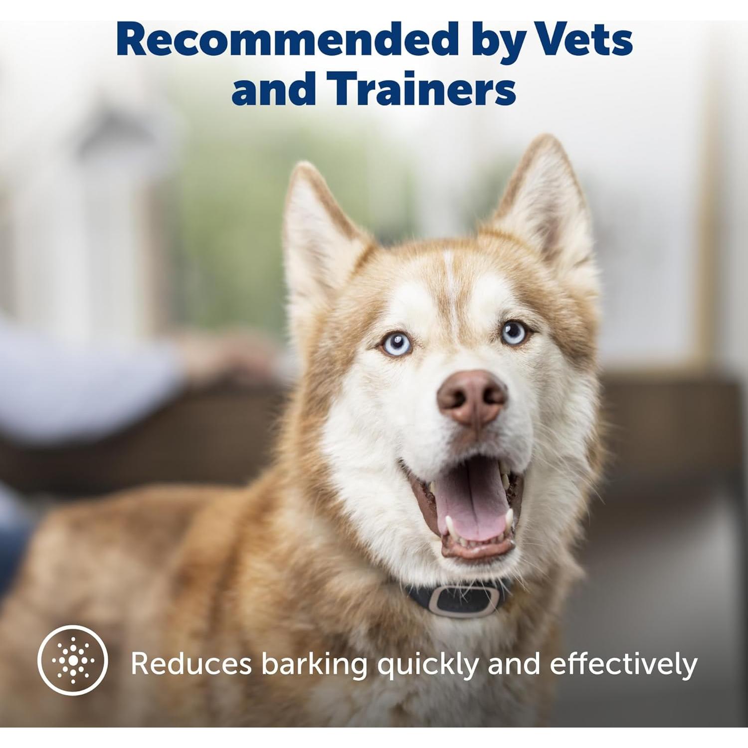 Collar Antiladridos PetSafe para Perros 8 lb, Impermeable