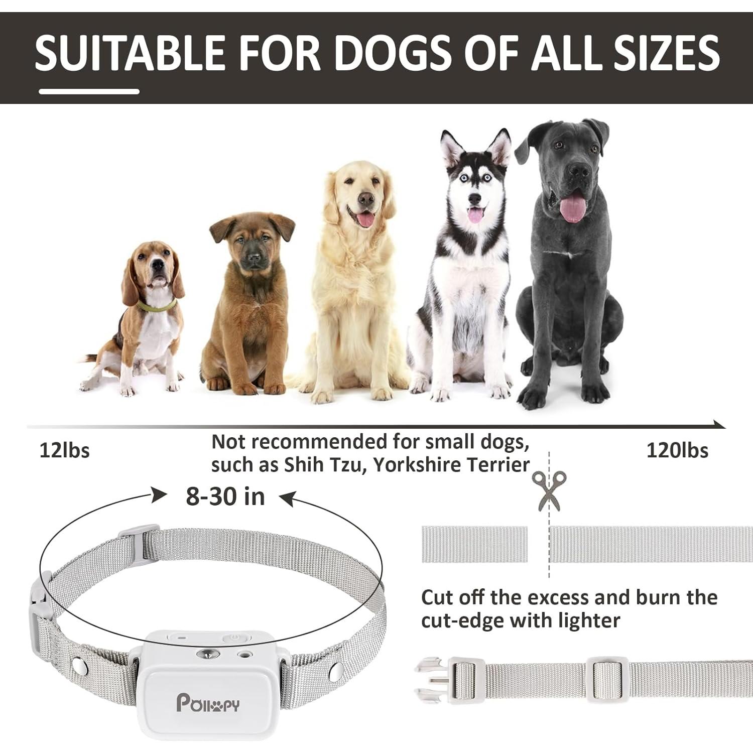 Collar de perro POIIOPY P-510 citronela control remoto