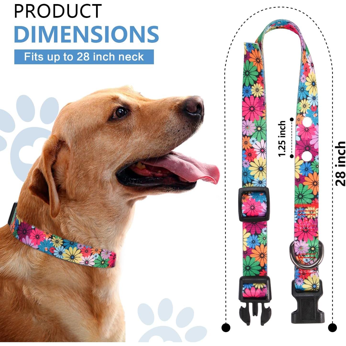 Correa de Reemplazo Rhea Rose 2,54 cm para Collar de Choque