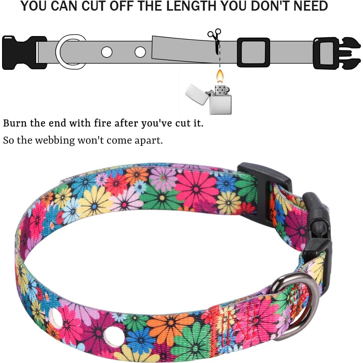 Correa de Reemplazo Rhea Rose 2,54 cm para Collar de Choque