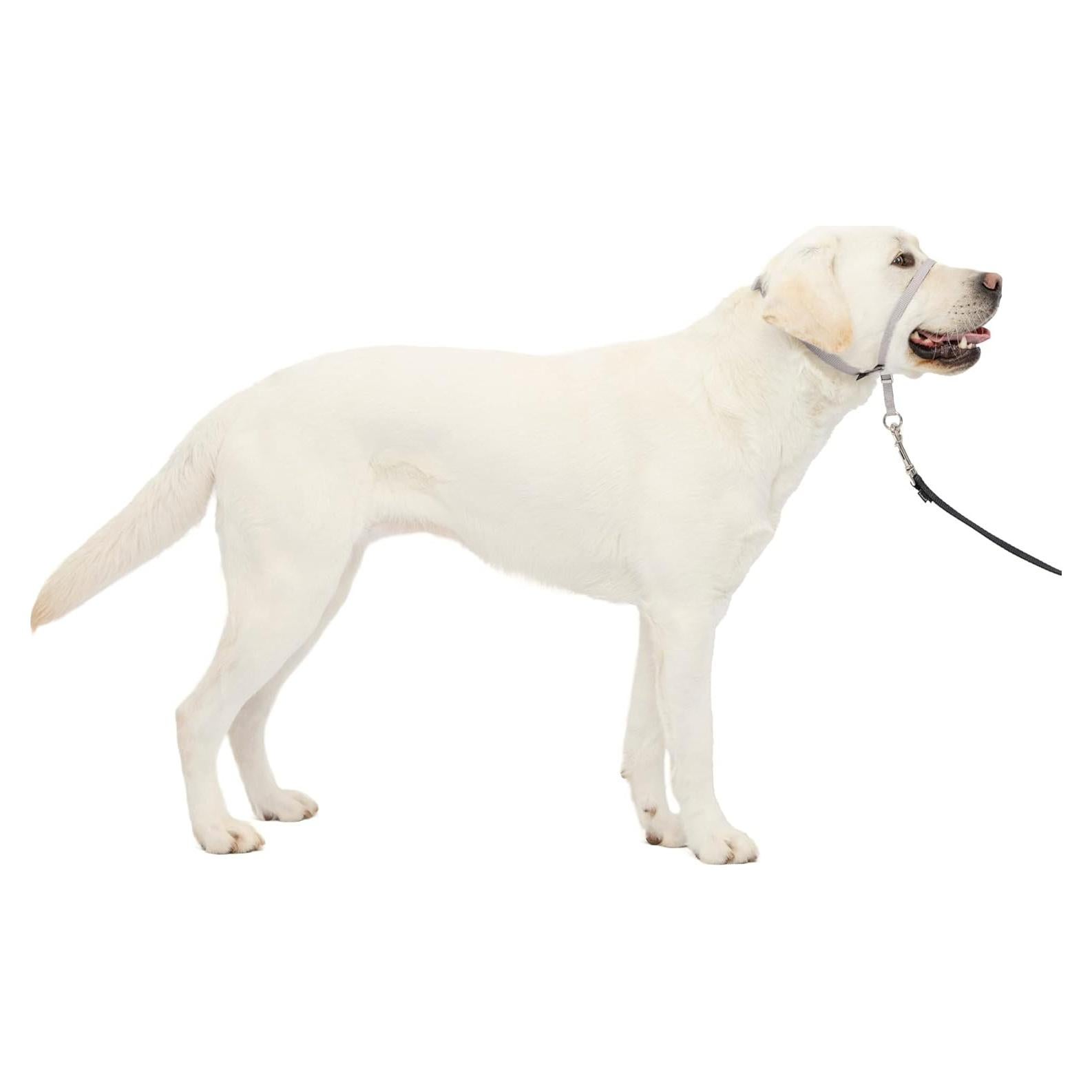 Collar de Cabeza PetSafe Gentle Leader Grande Plata