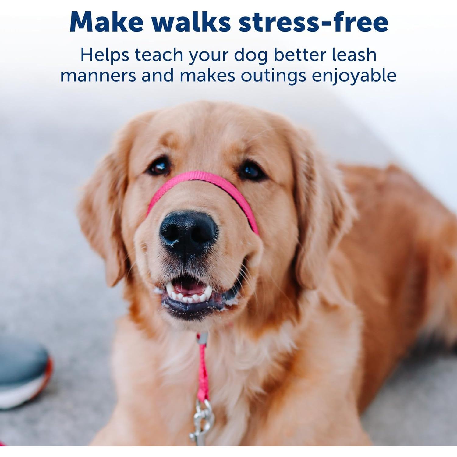 Collar de Cabeza PetSafe Gentle Leader Grande Plata