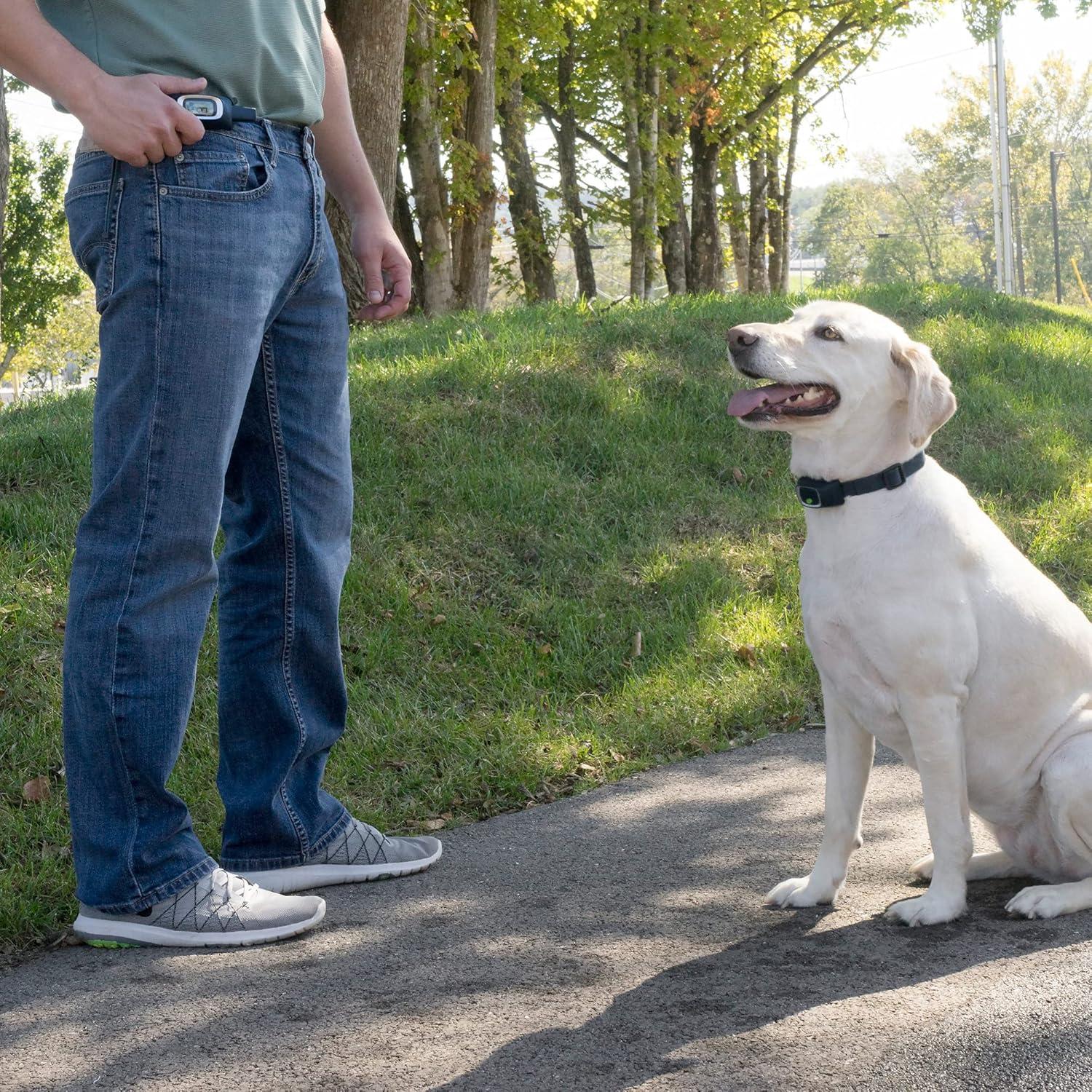 Clip de Cinturón PetSafe para Entrenador Remoto 100-900 m