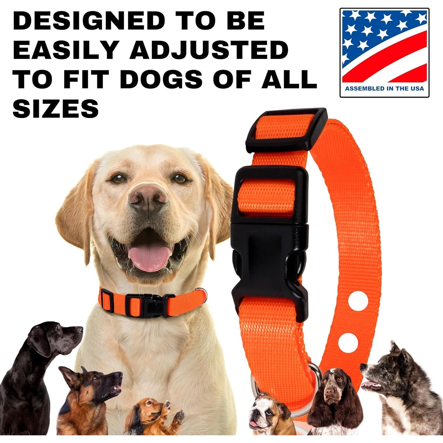 Correa de Reemplazo Nylon 1,91 cm Gracie To The Rescue Camo