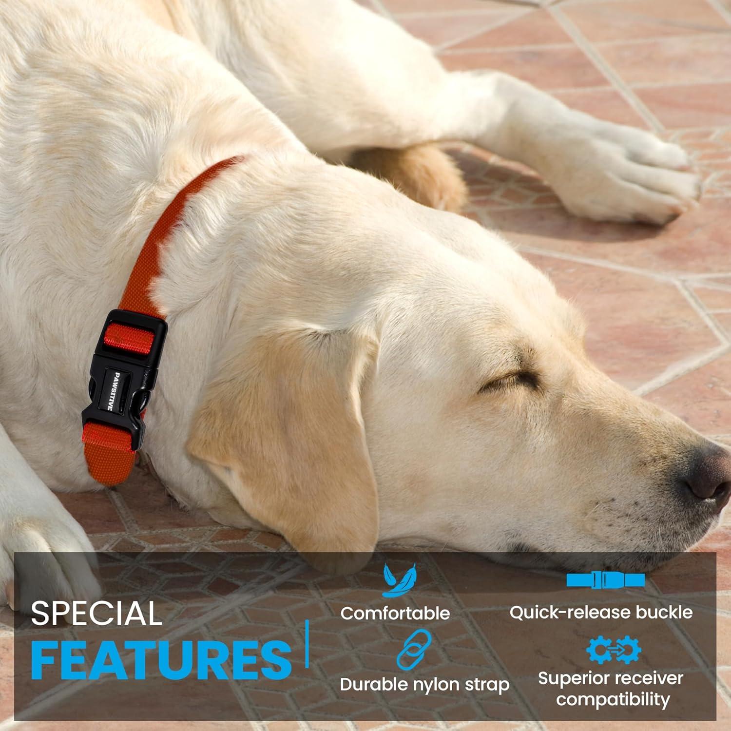 Correa de Reemplazo Nylon 1,91 cm Gracie To The Rescue Camo