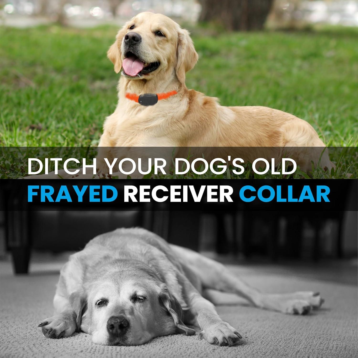 Correa de Reemplazo Nylon 1,91 cm Gracie To The Rescue Camo