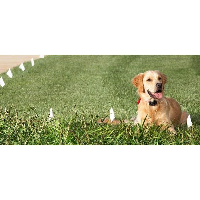 Banderas de Entrenamiento para Perros eXtreme Dog Fence - 50 Unidades