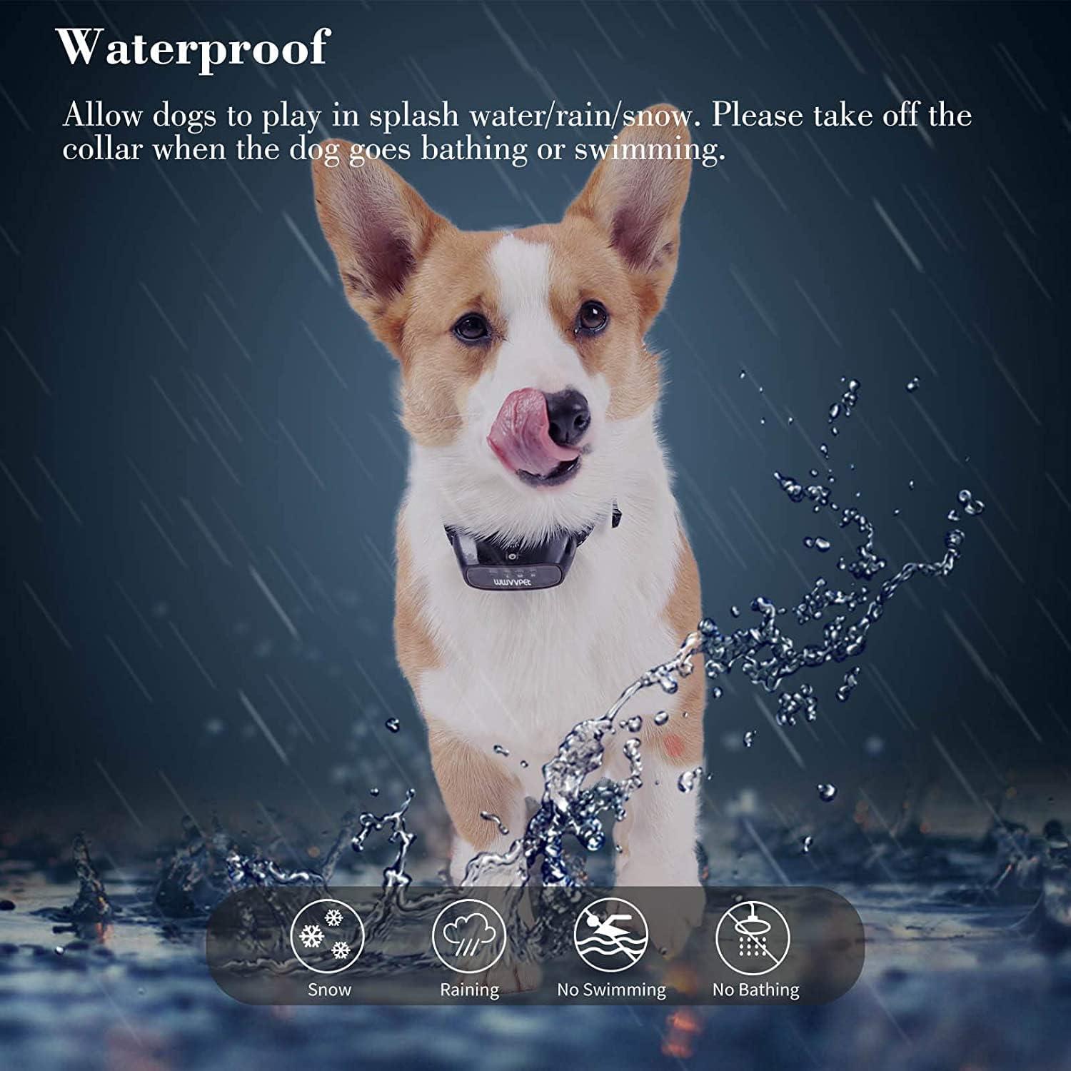 Collar Antiladridos POIIOPY SP13 con Spray Citronela 2 Modos