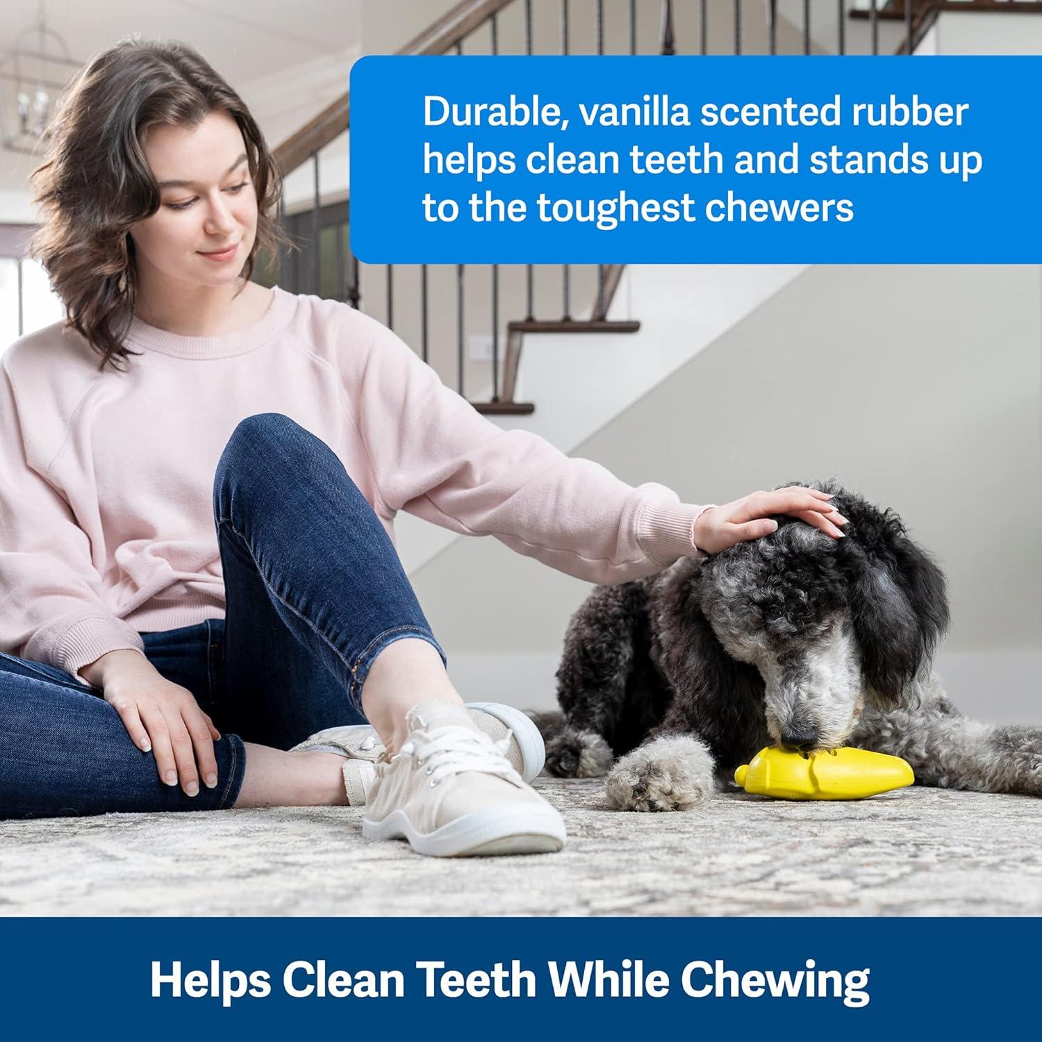 Juguete para Perros PetSafe Frosty Cone Mediano Grande