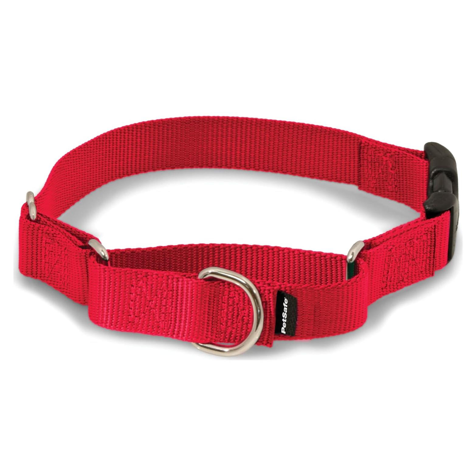 Collar Martingale PetSafe Rojo 1,91 cm Pequeño con Hebilla