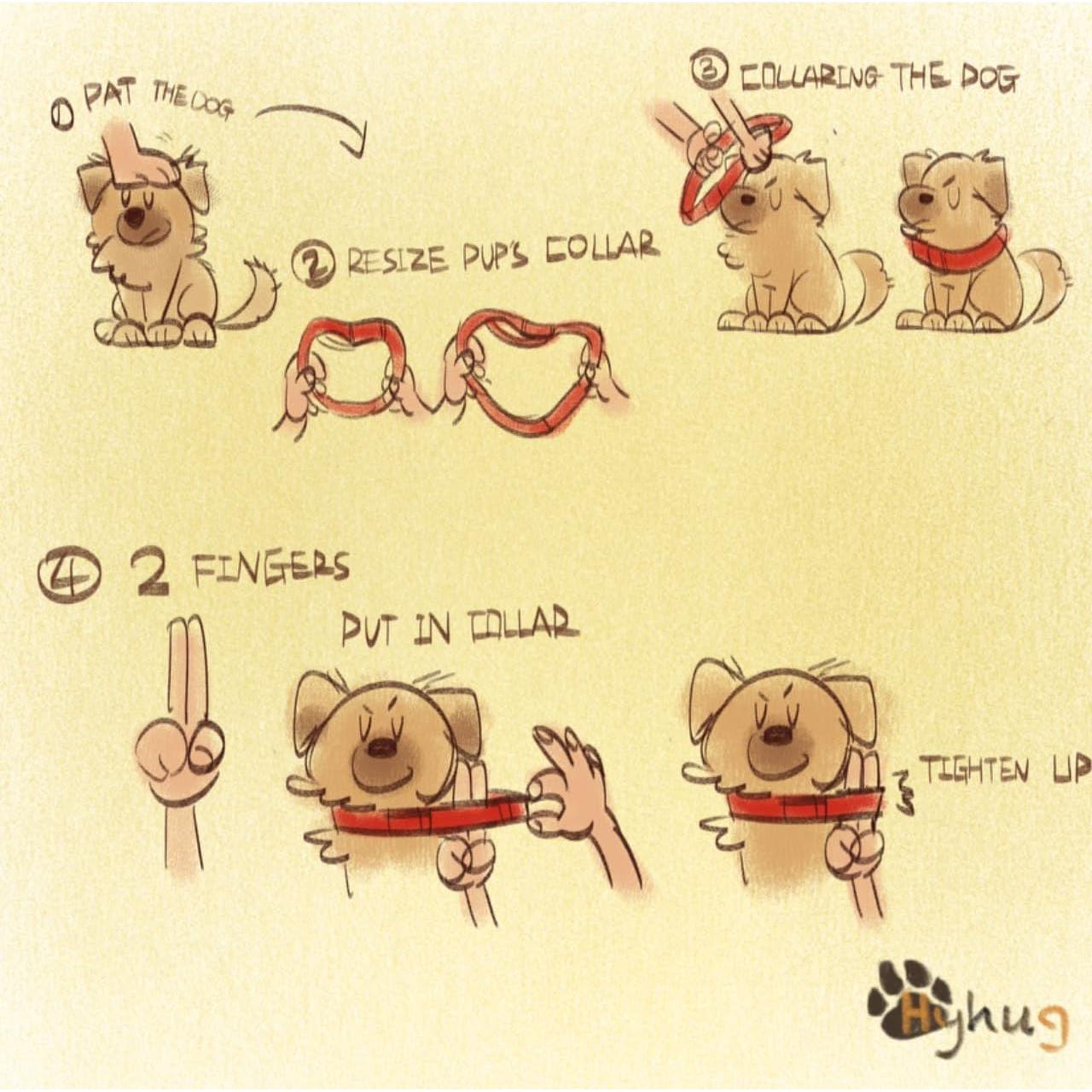 Collar Martingale Nylon Antiescape Hyhug Verde Militar Grande