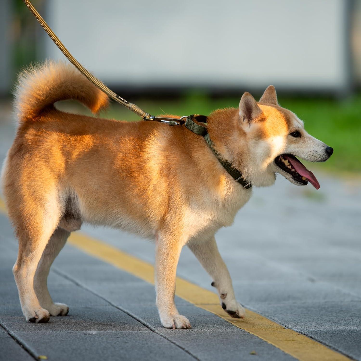 Collar Martingale Nylon Antiescape Hyhug Verde Militar Grande