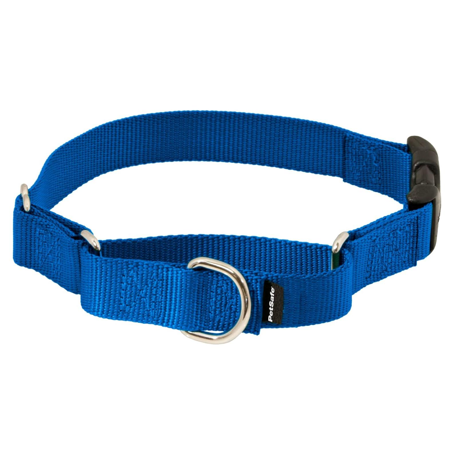 Collar Martingale PetSafe con Hebilla Rápido Desenganche 2,54cm Azul