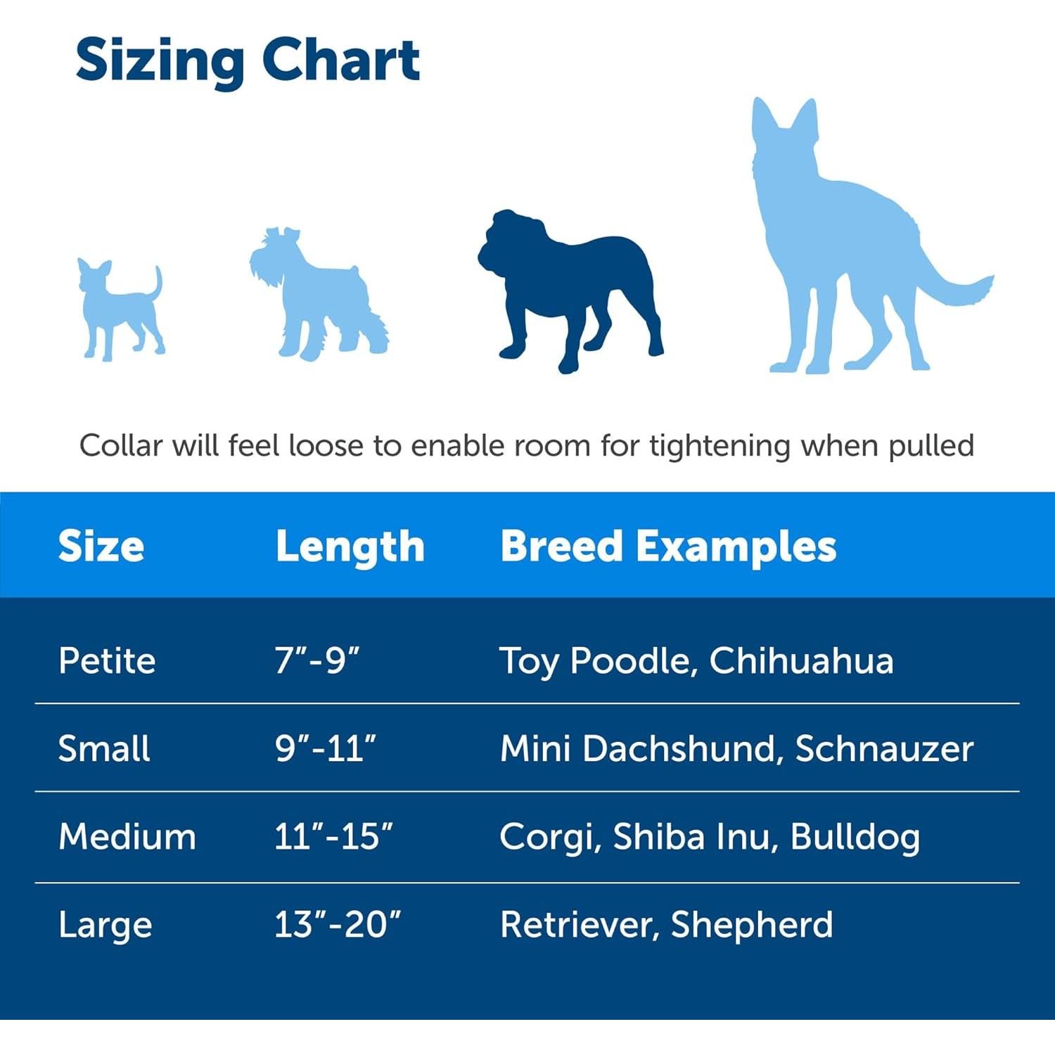 Collar Martingale PetSafe Mediano 1.9 cm Frambuesa