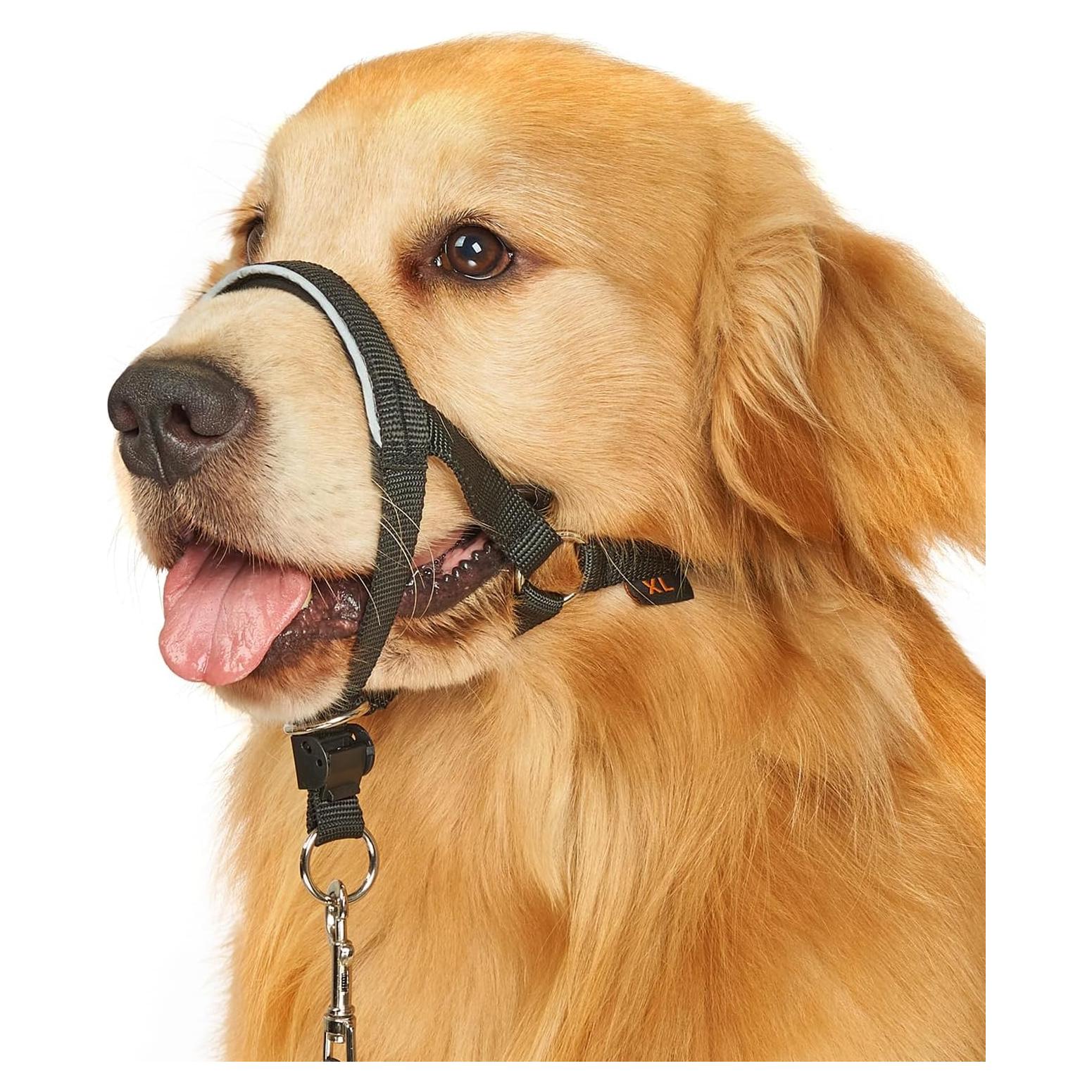 Collar de Cabeza BARKLESS M Negro para Perros Sin Tirones