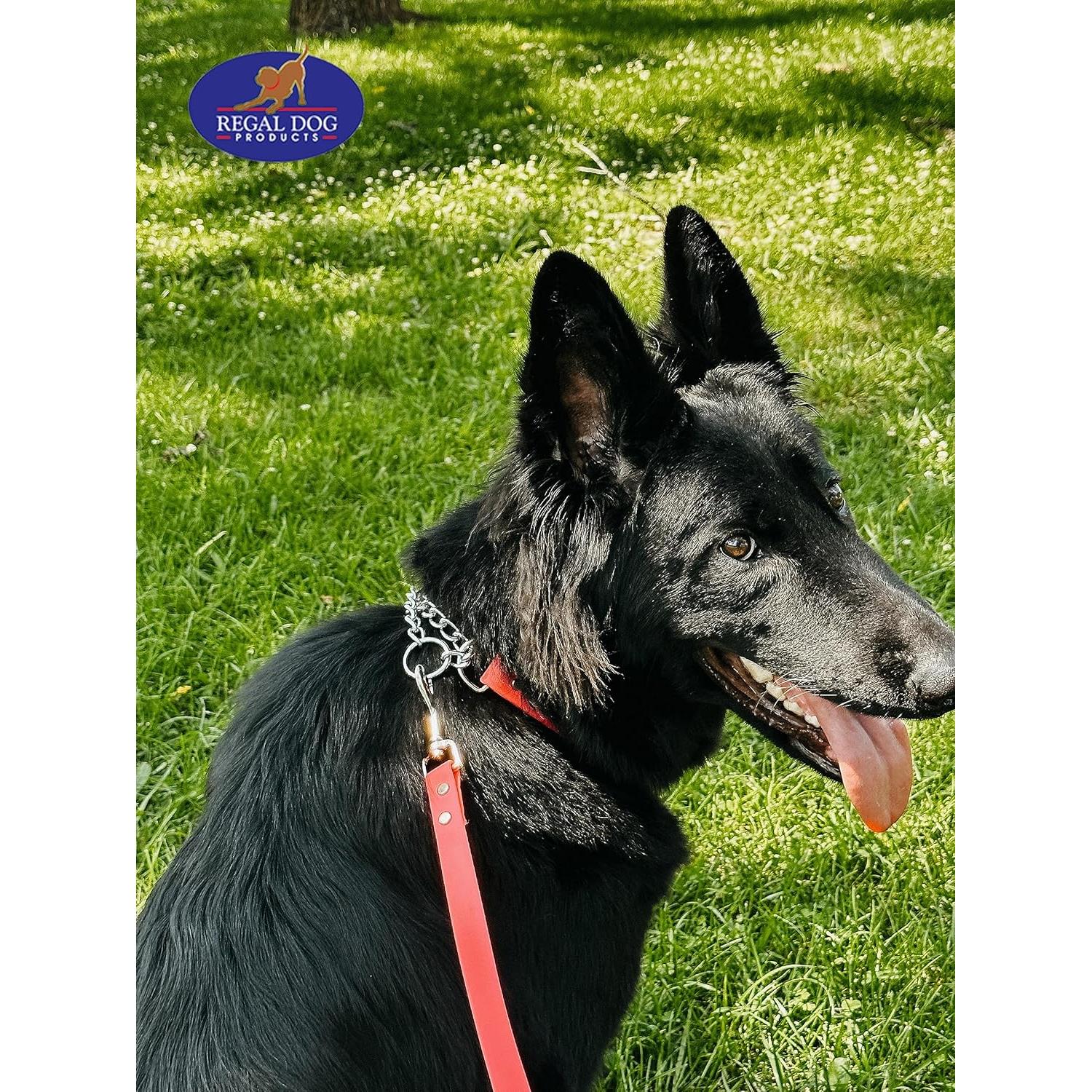 Collar Martingale Regal Dog Mediano Naranja Impermeable