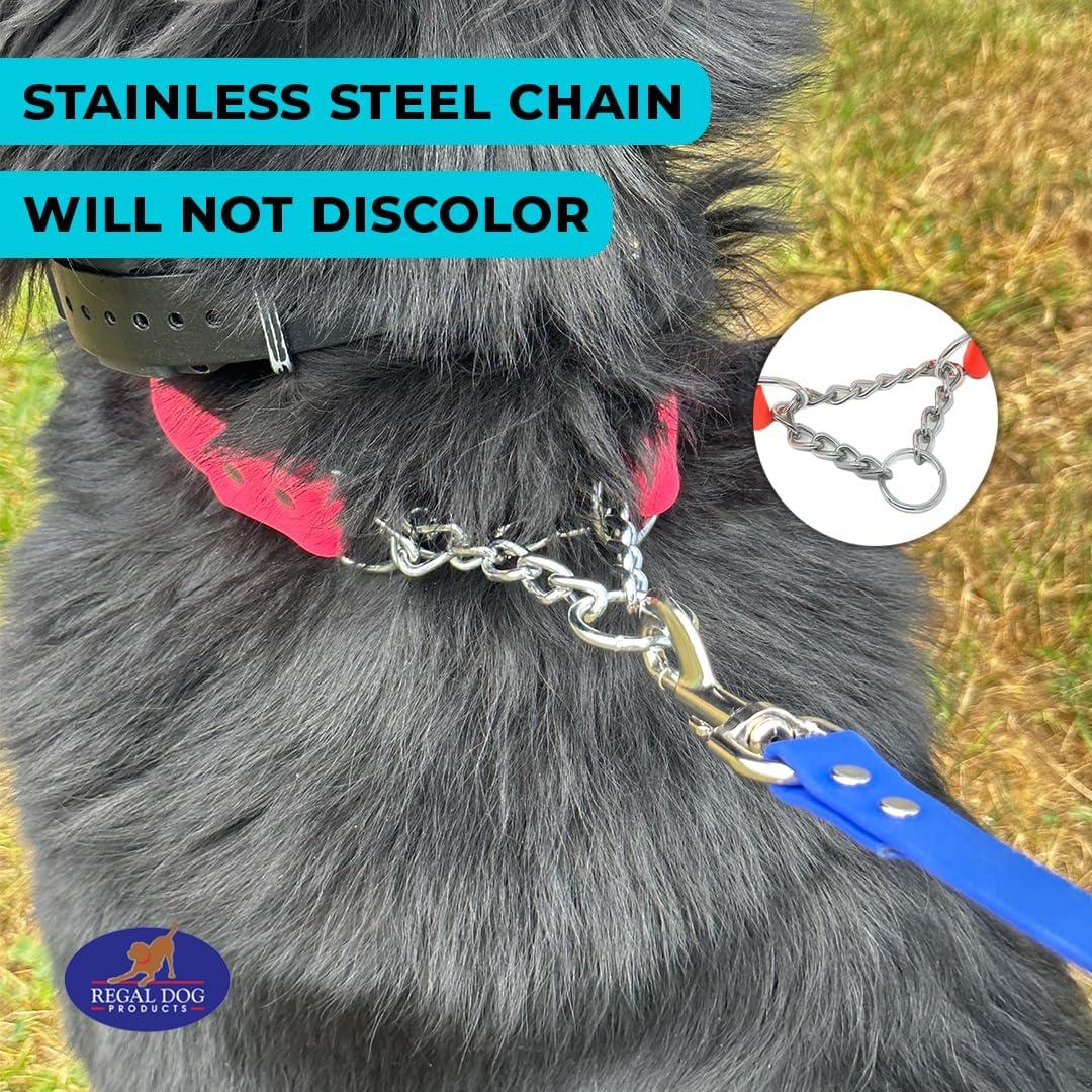 Collar Martingale Regal Dog Mediano Naranja Impermeable