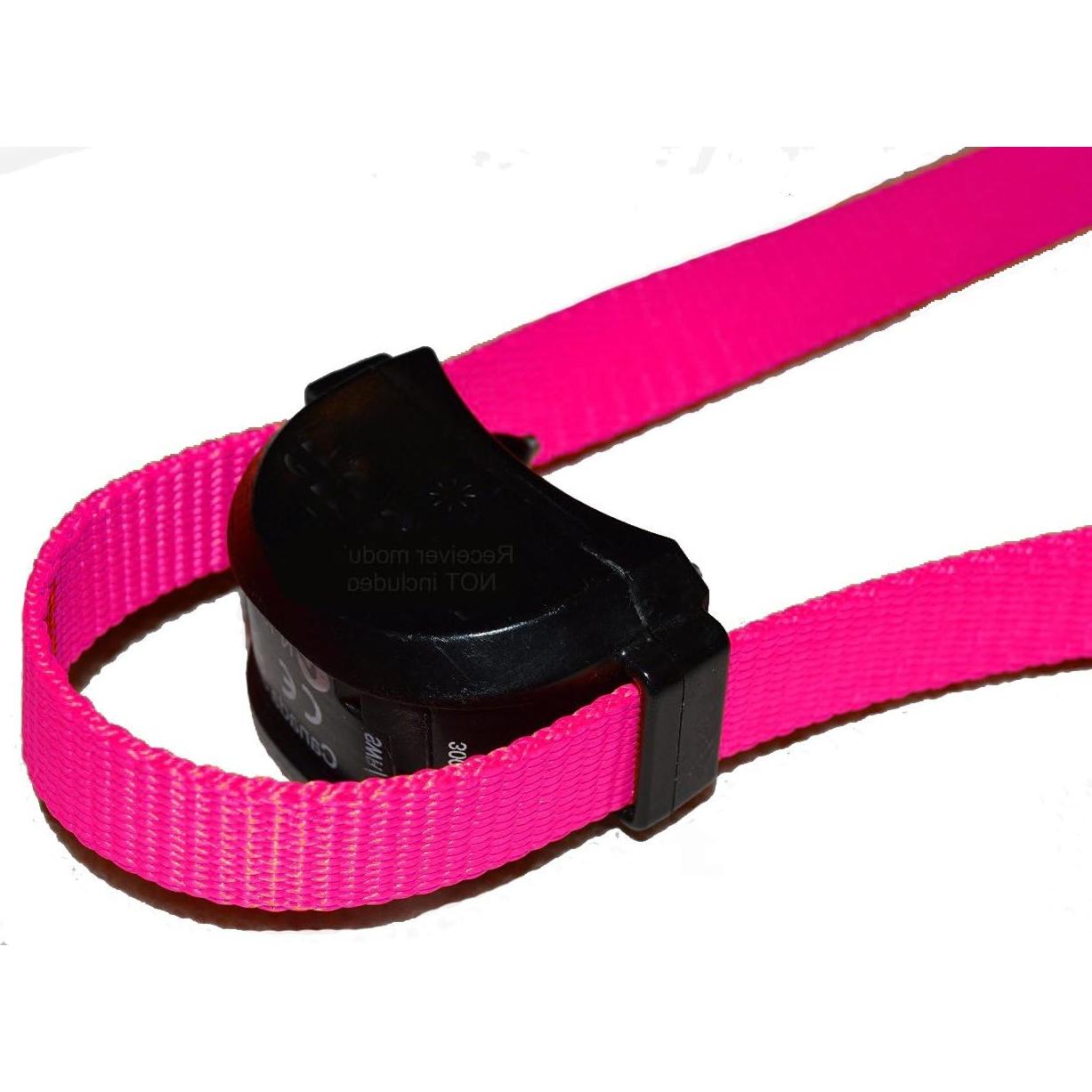 Correa de Nylon Sólido 19mm Sparky Pet Co Lavanda