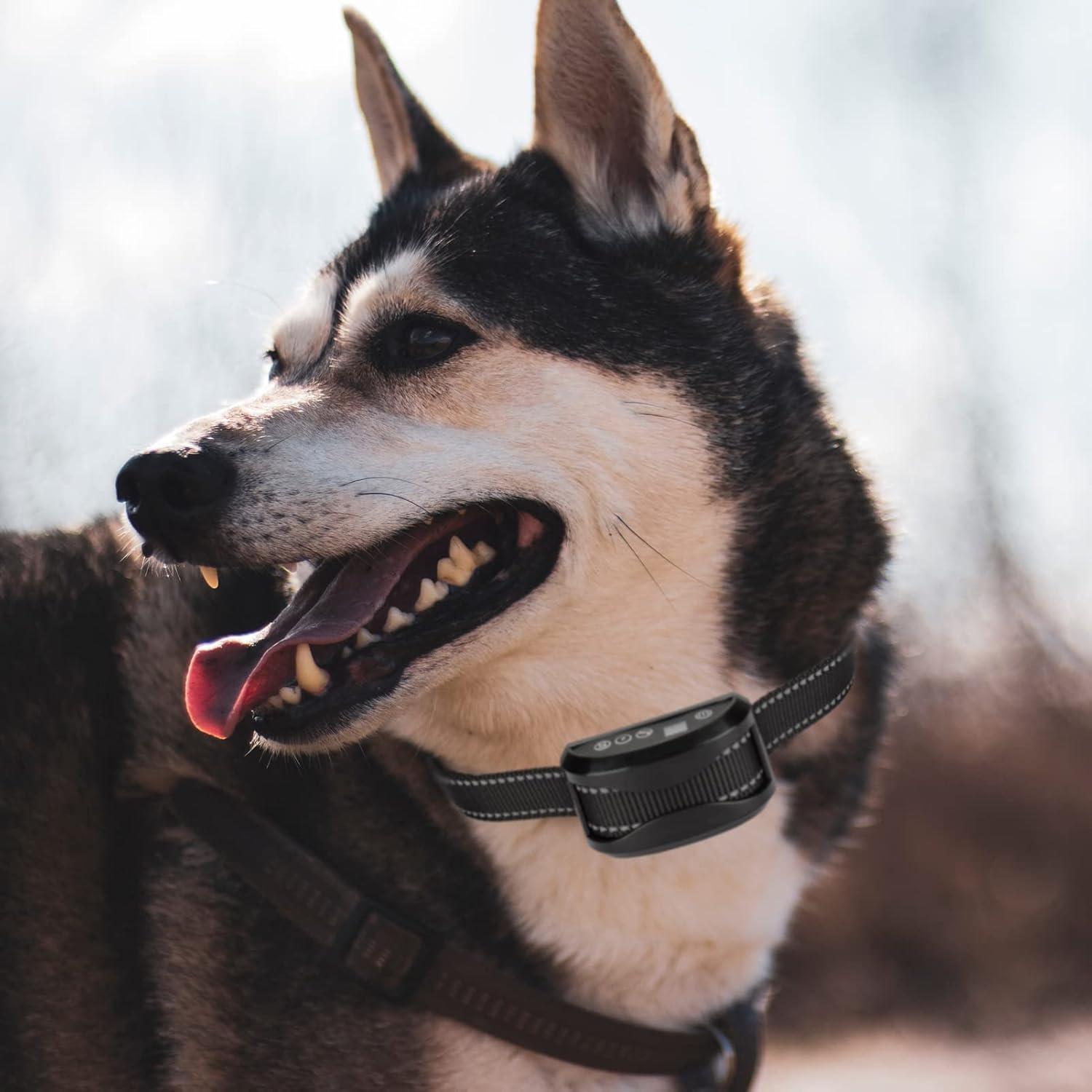 Collar de Reemplazo JIPIMON Nylon Reflectante Ajustable 71cm