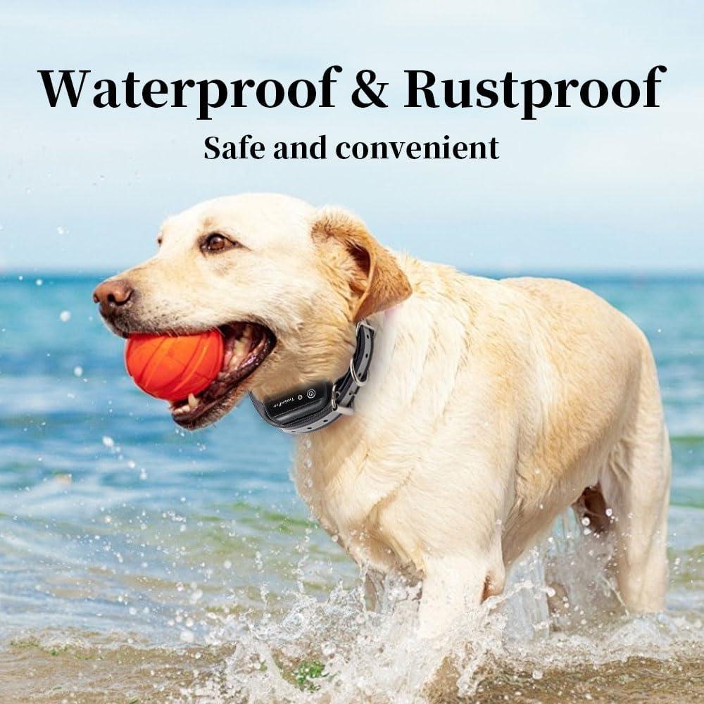 Correa de Reemplazo TrainPro 1.9 cm x 71.1 cm Negra Reflectante