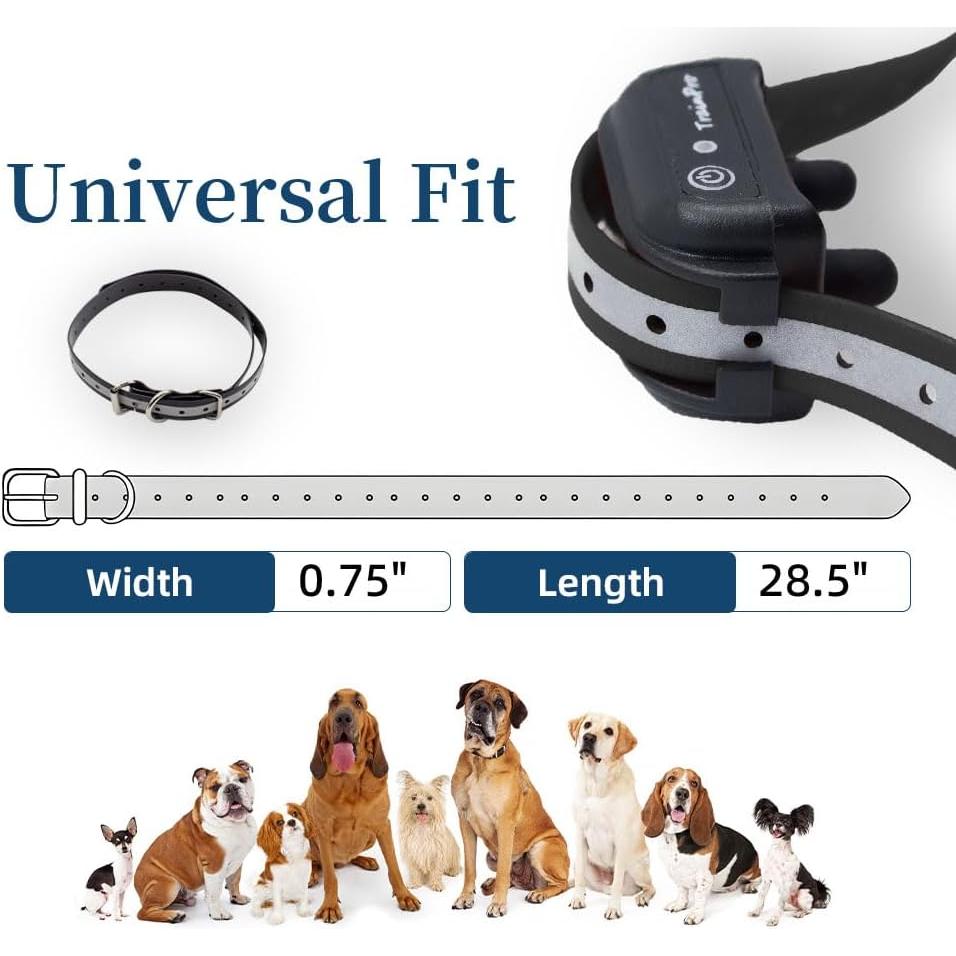 Correa de Reemplazo TrainPro 1.9 cm x 71.1 cm Negra Reflectante