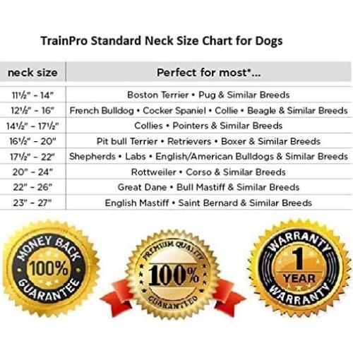 Correa de Reemplazo TrainPro 1.9 cm x 71.1 cm Negra Reflectante