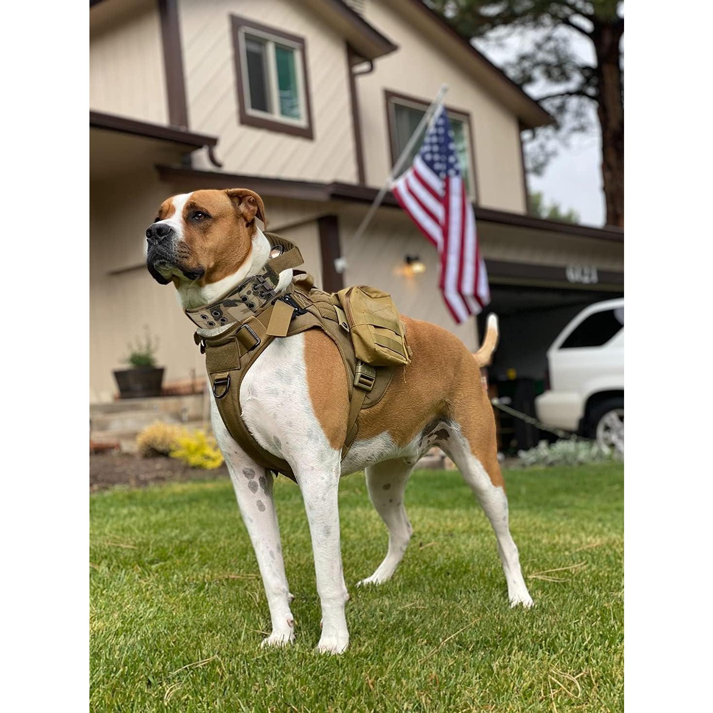 Collar Táctico para Perros Periflowin Extra Grande Camo