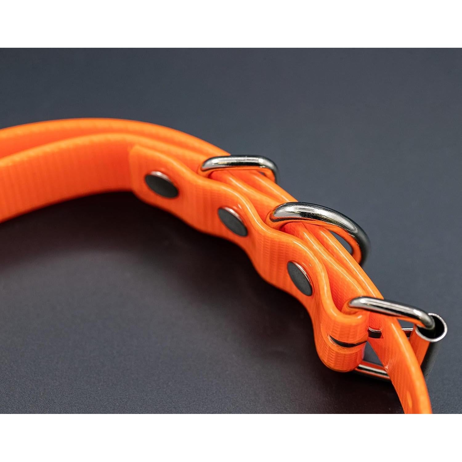 Correa de Reemplazo para Collar de Perro TrainPro 69.85 cm x 1.91 cm