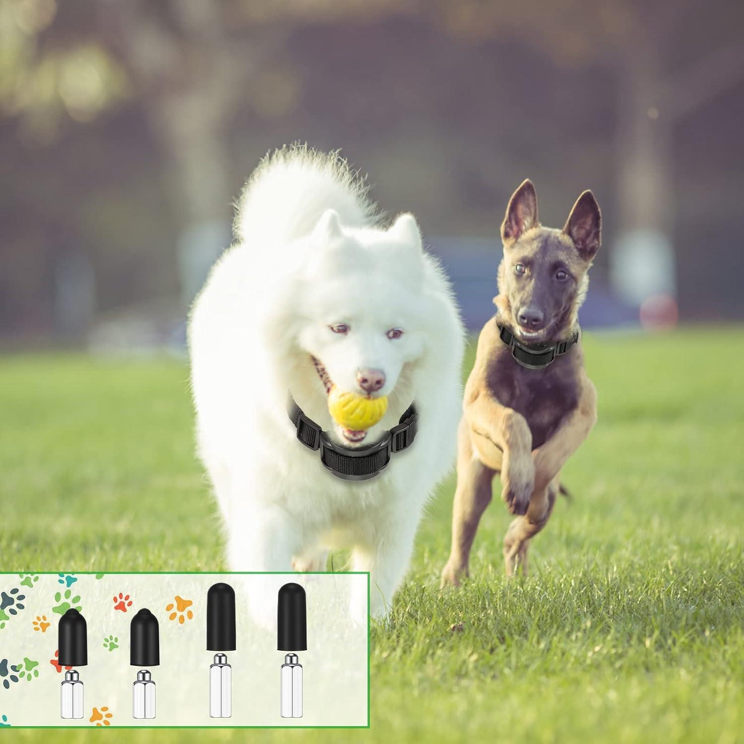 Zhengmy 36 Piezas Puntas de Goma para Collar de Perro