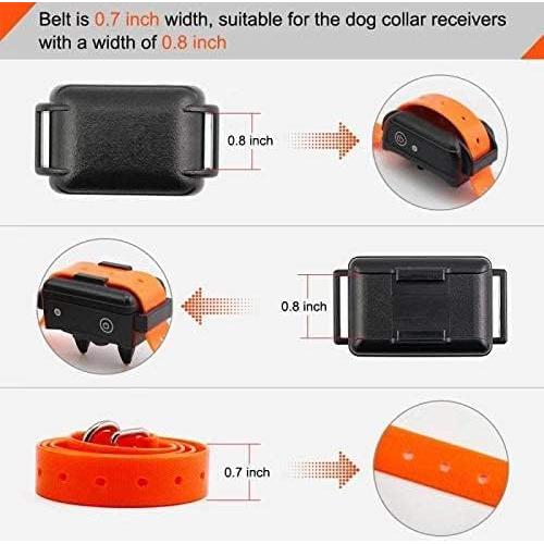 Correas de Repuesto 1,91 cm Nylon Doble Hebilla para Mascotas