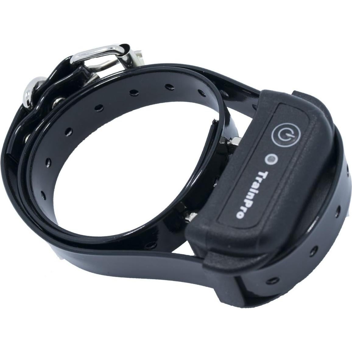 Correa de Reemplazo 1,9 cm Nylon Doble Hebilla para Perros