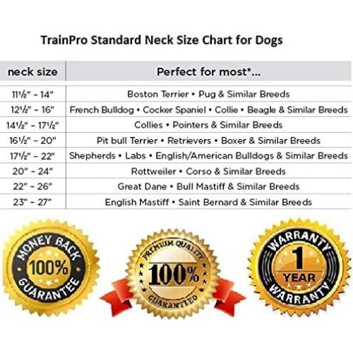 Correa de Reemplazo 1,9 cm Nylon Doble Hebilla para Perros