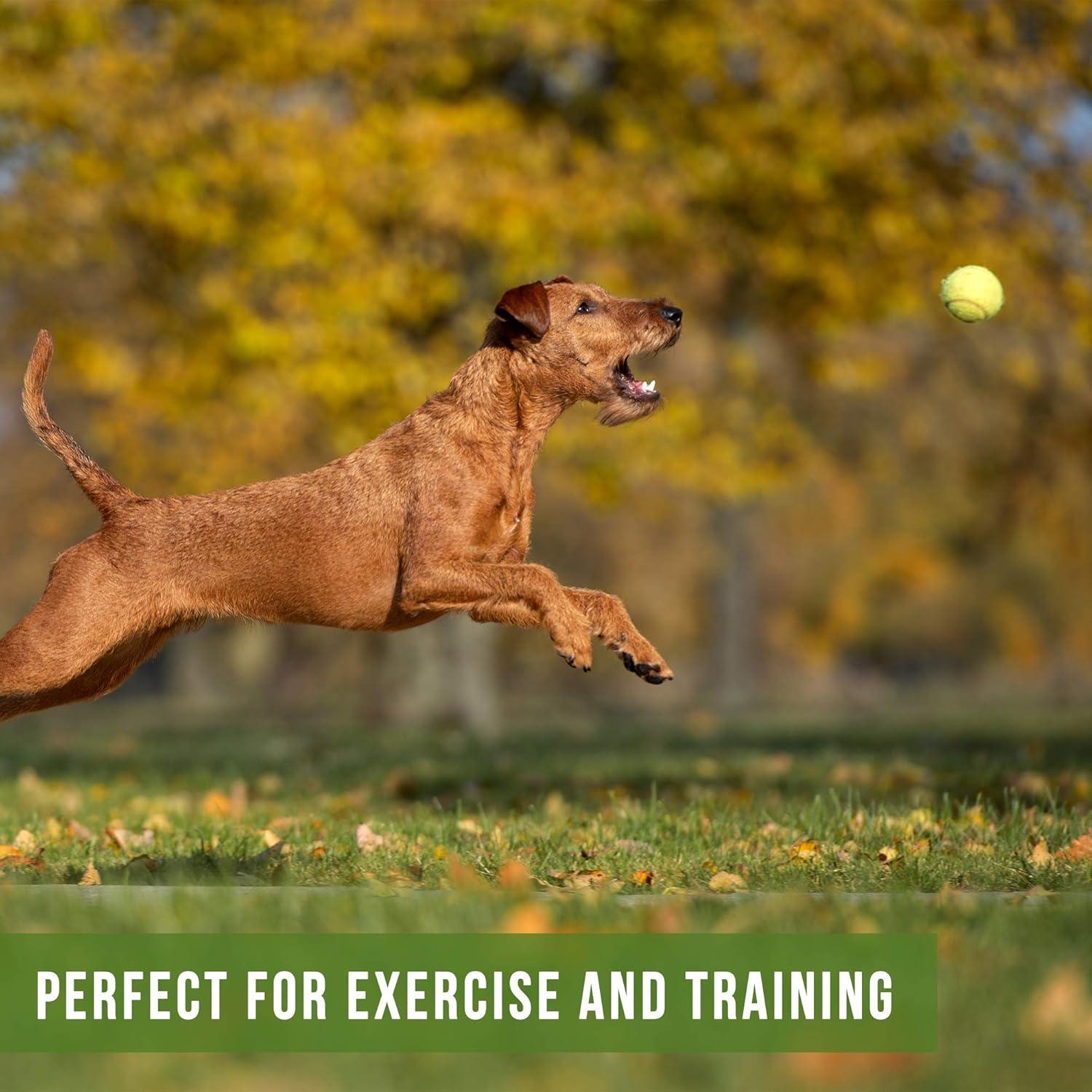 Pelotas de Tenis Hyper Pet para Perros - Paquete de 2