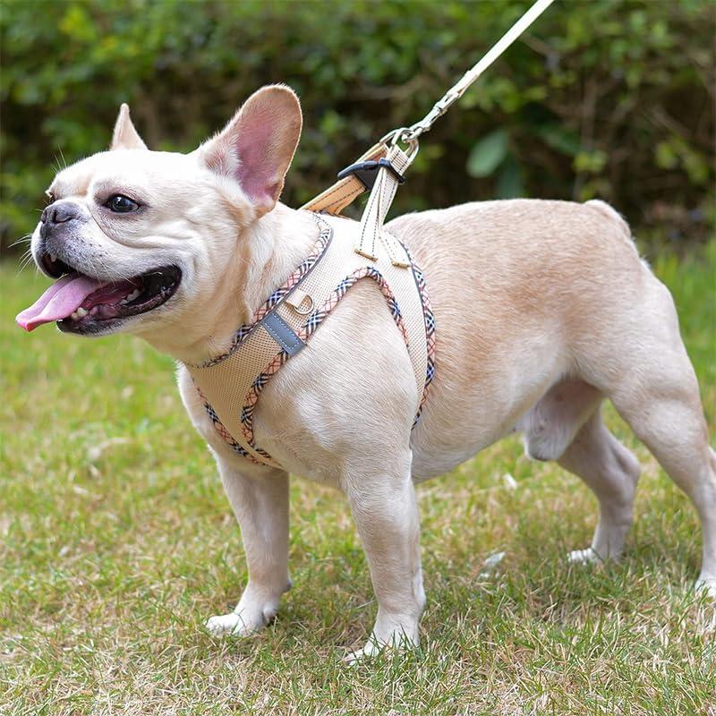 Arnés y Correa PetSafe Easy Walk Beige XS - Sin Tirones