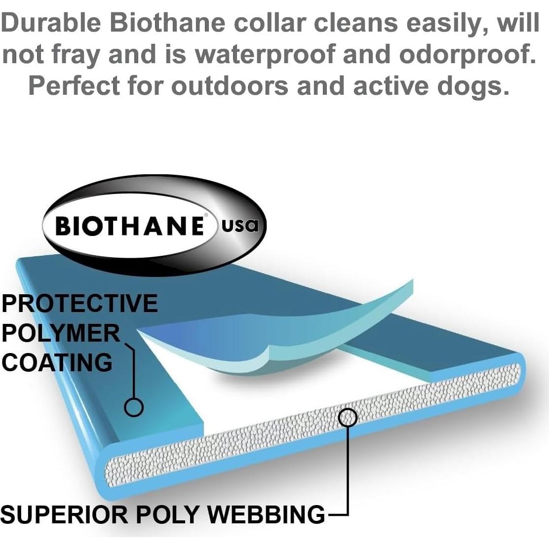 Sistema de Contención Subterránea Educador PF-1000-BK para Perros