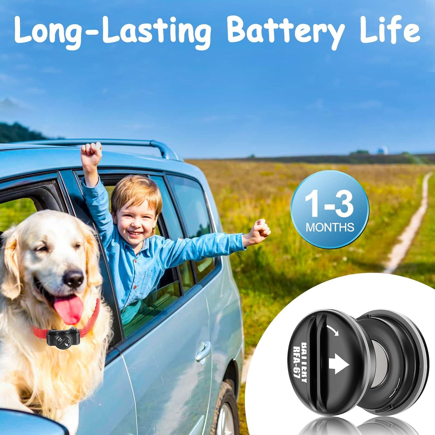 Paquete de 10 Baterías RFA-67 6V KGC para Collares PetSafe