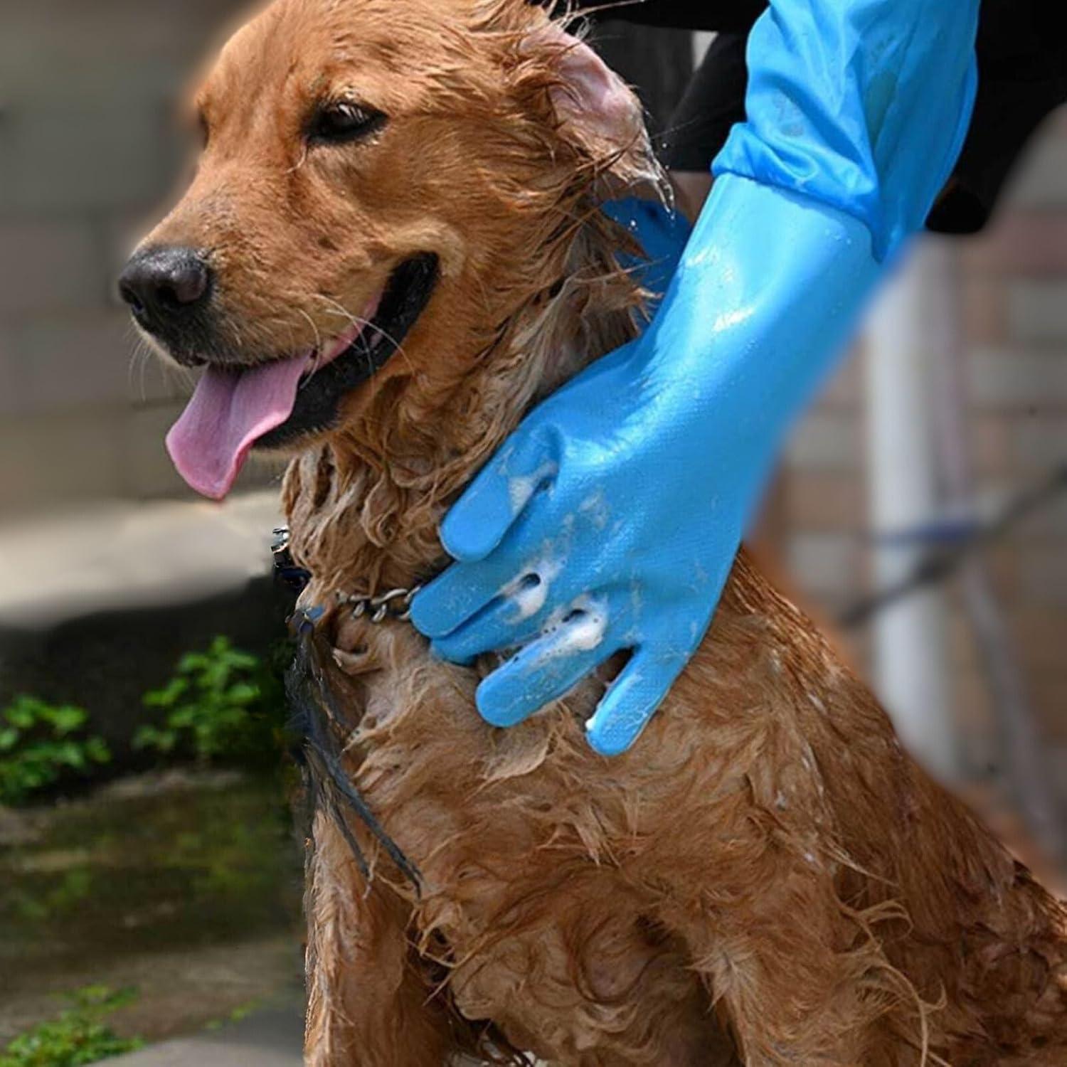 Guantes de Aseo para Mascotas GALYNA Azul 2 en 1