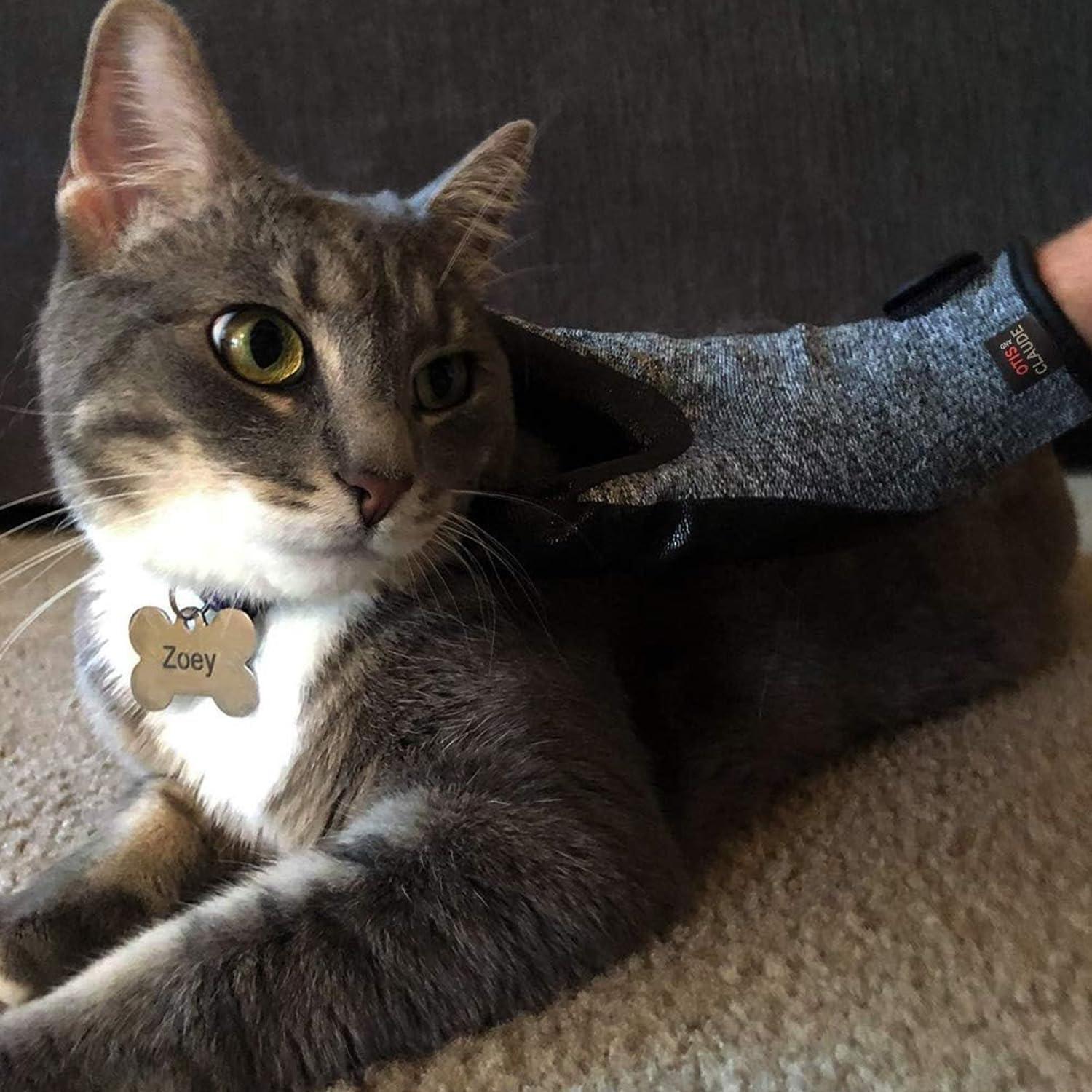 Guantes de Aseo para Mascotas Otis y Claude - Talla Única