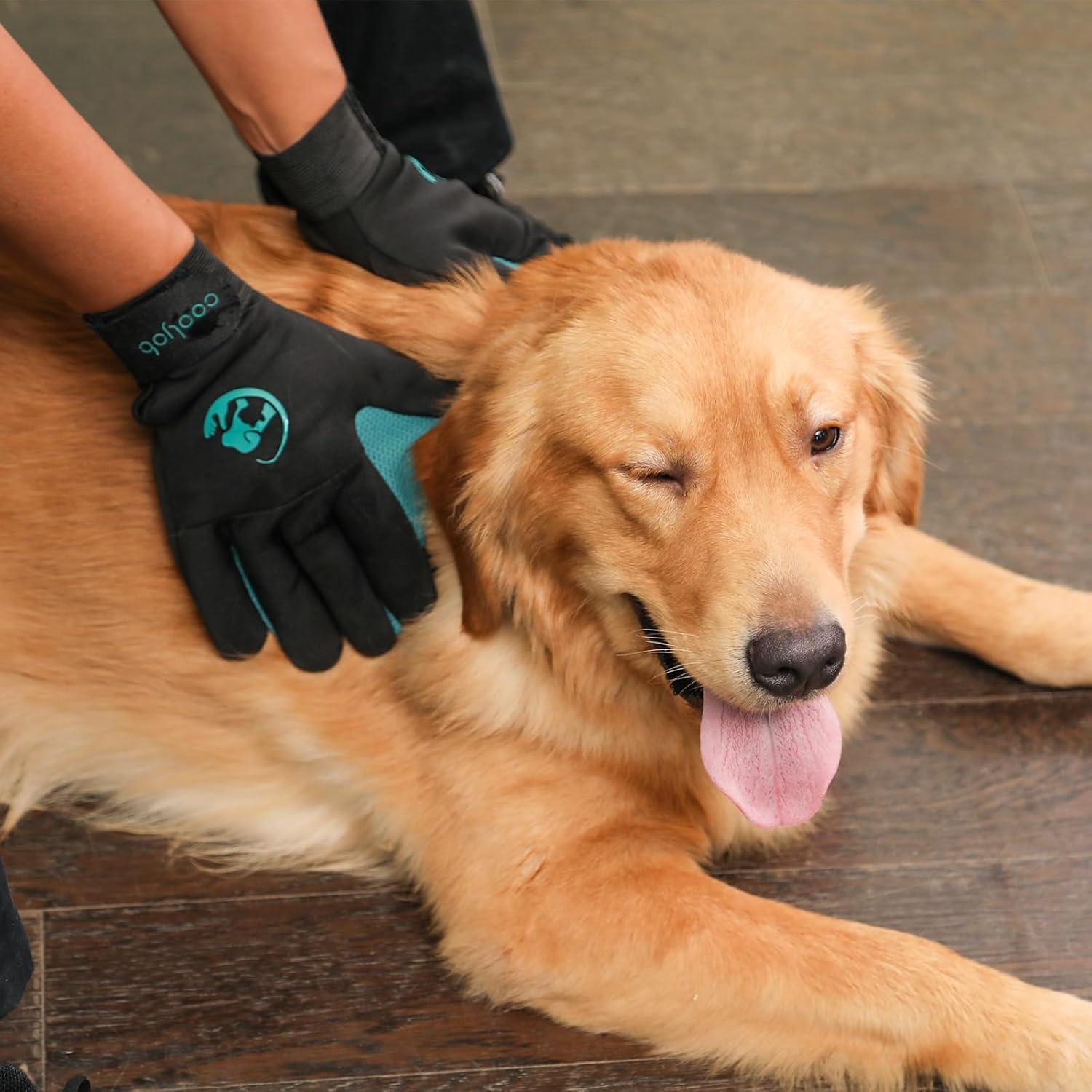 Guantes de Cuidado para Mascotas COOLJOB Grande Azul