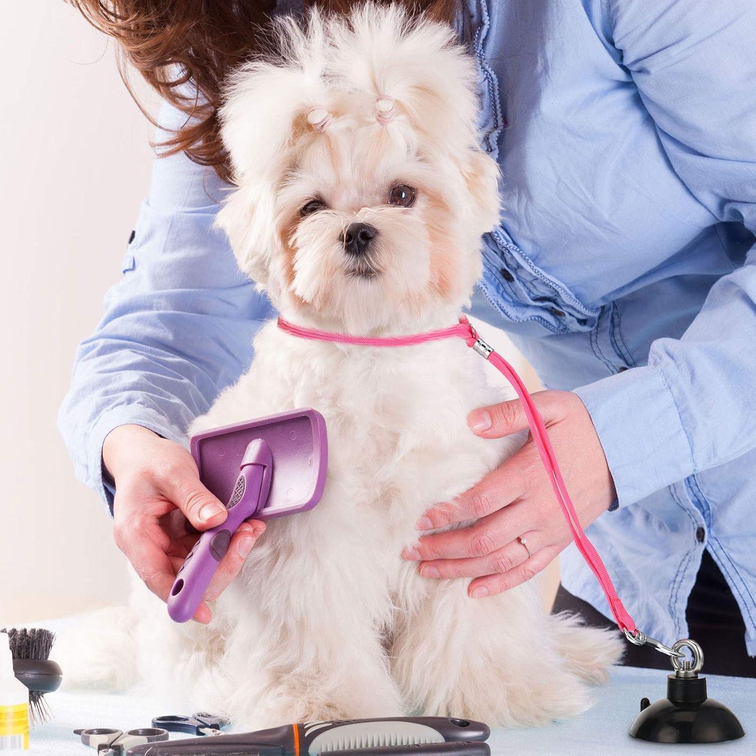 Correa de Baño para Perros Frienda con Ventosa Ajustable