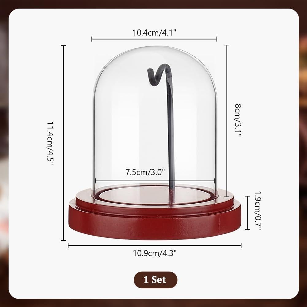 Estuche de Exhibición PH PandaHall para Reloj de Bolsillo