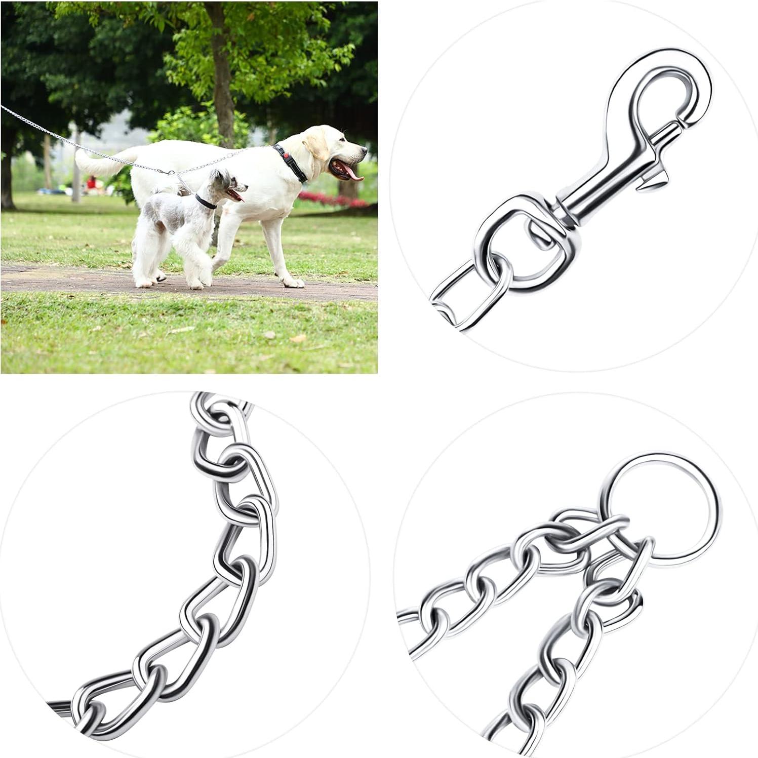 Correa Doble para Perros Pettom 3.5mm 60cm Metal Giratorio