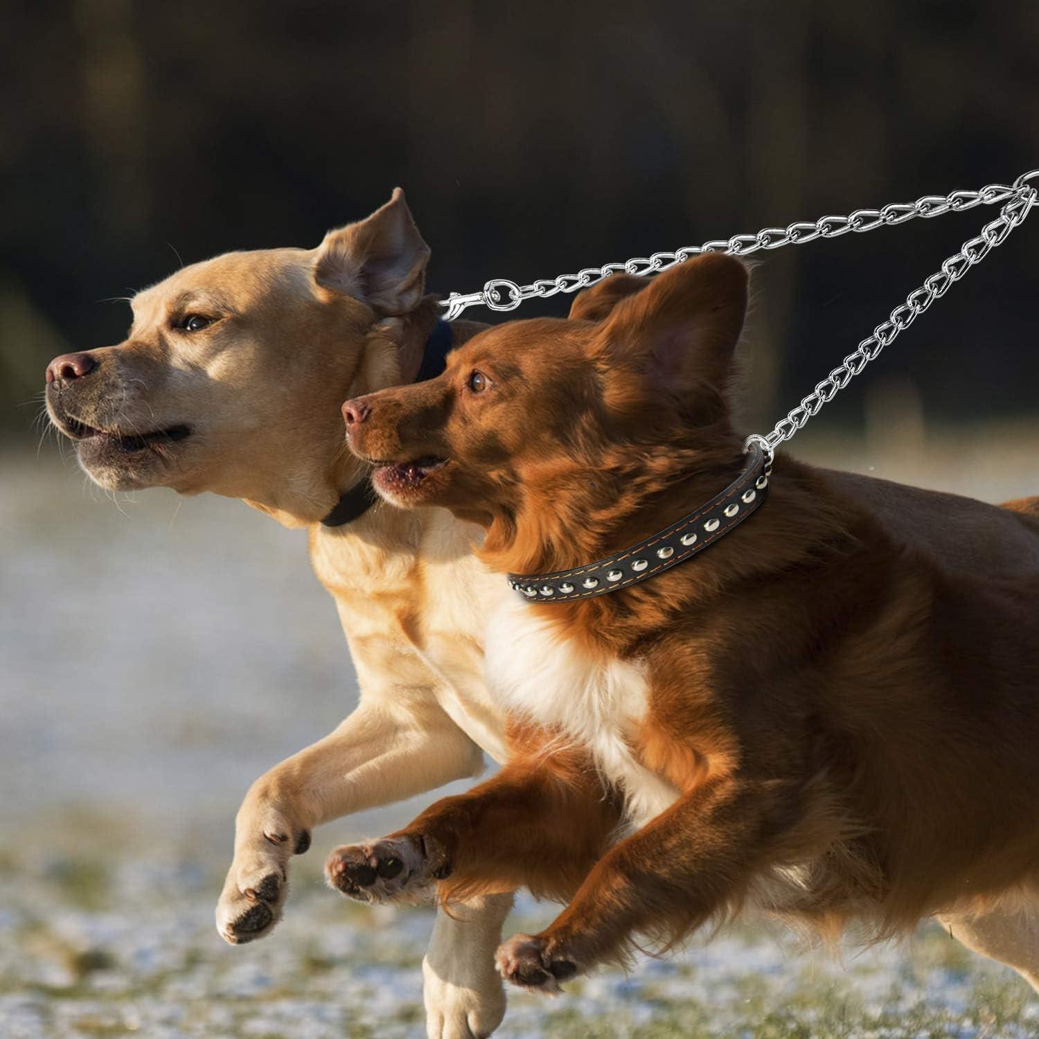 Correa Doble para Perros Pettom 3.5mm 60cm Metal Giratorio