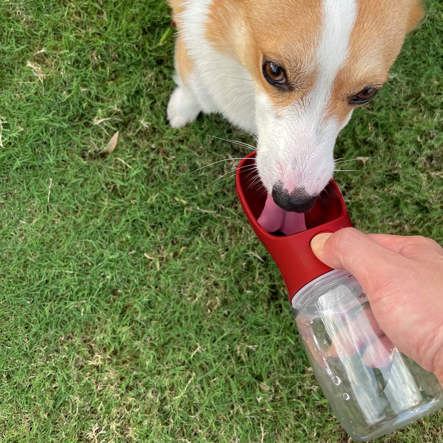 Botella de Agua para Perros WePet 350 ml a Prueba de Fugas