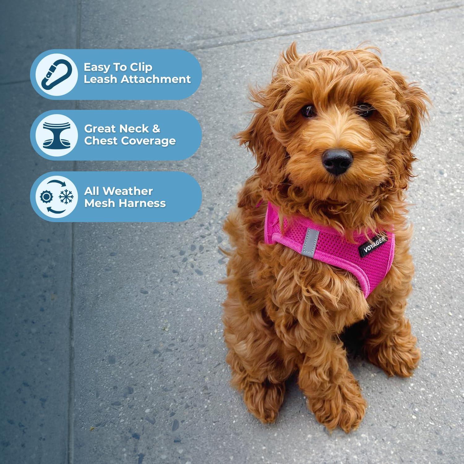 Arnés Voyager Mejor Suministros Fucsia M para Perros y Gatos