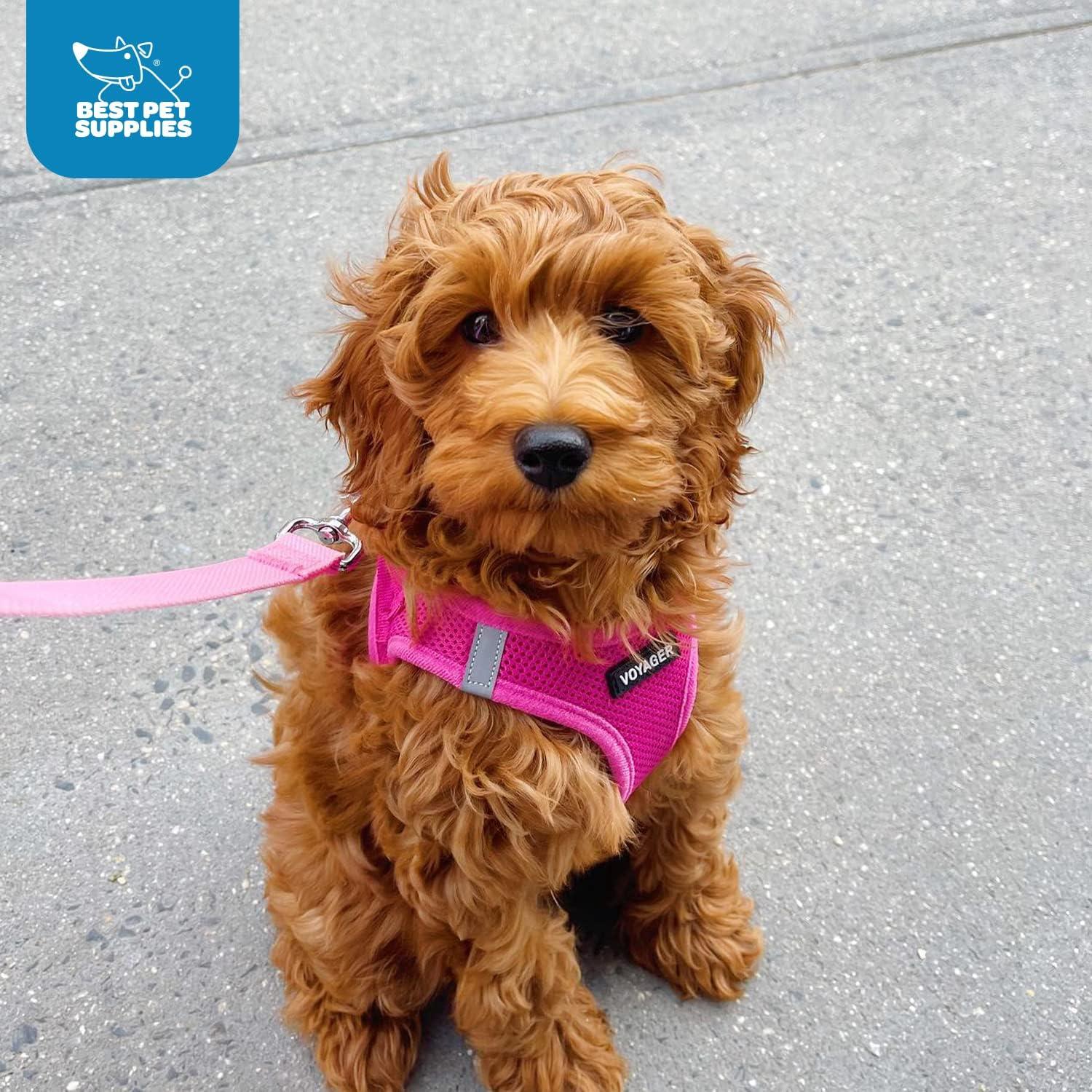 Arnés Voyager Mejor Suministros Fucsia M para Perros y Gatos