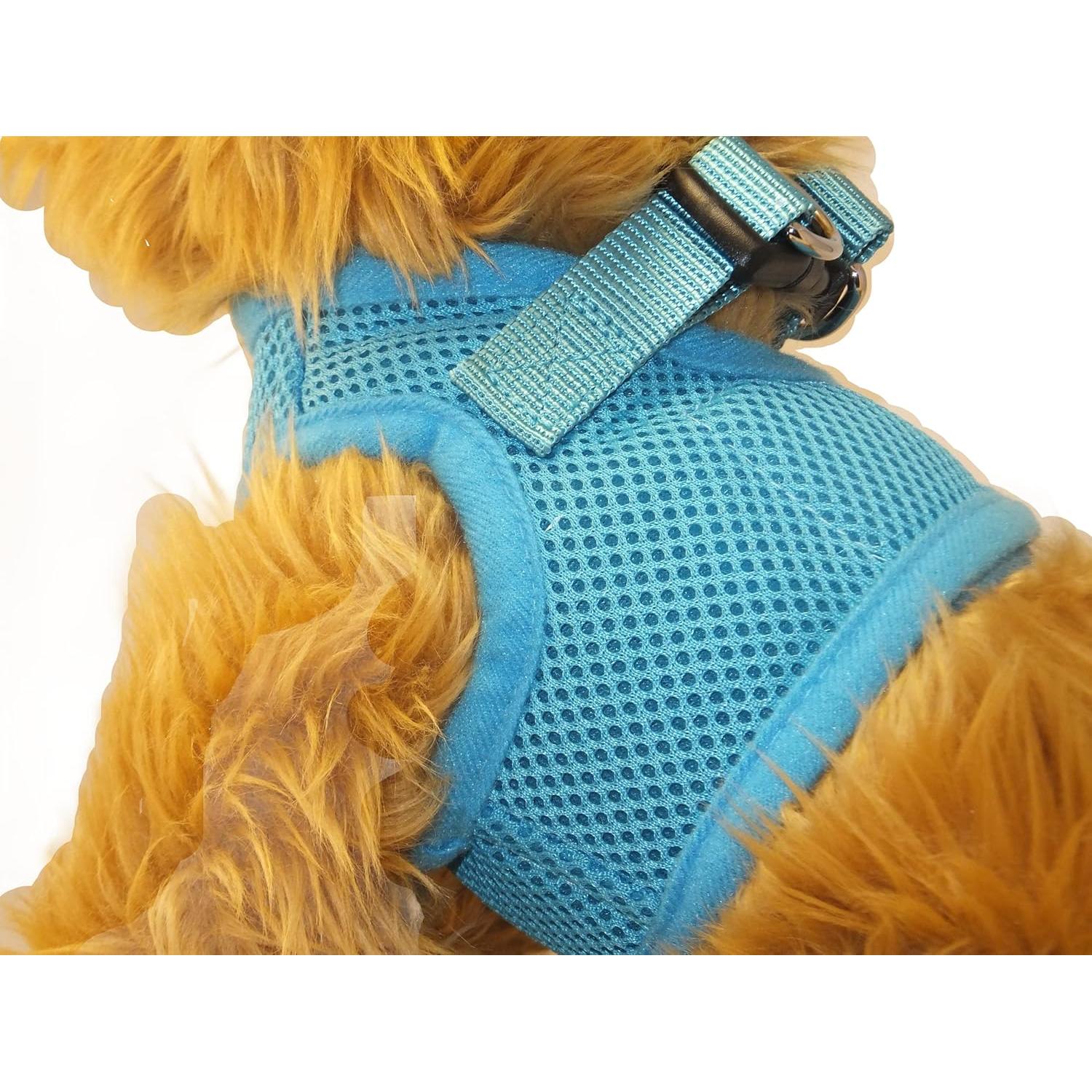 Arnés Suave para Perros Pequeños Snazzi Pet Azul Cielo