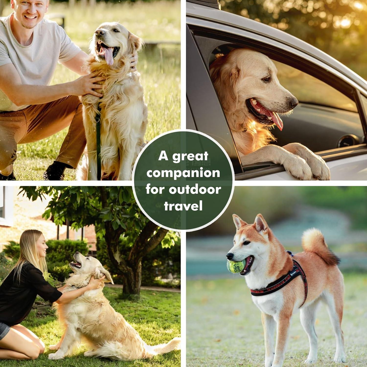 Cuenco Plegable para Perros ZNPET 2-en-1 Verde 100 oz