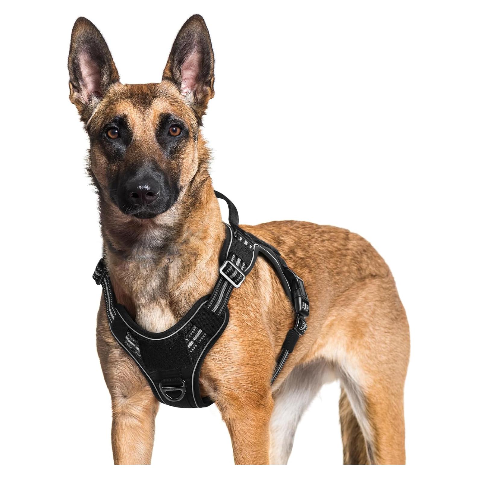 Arnés para Perros Rabbitgoo XL Negro Ajustable y Reflectante