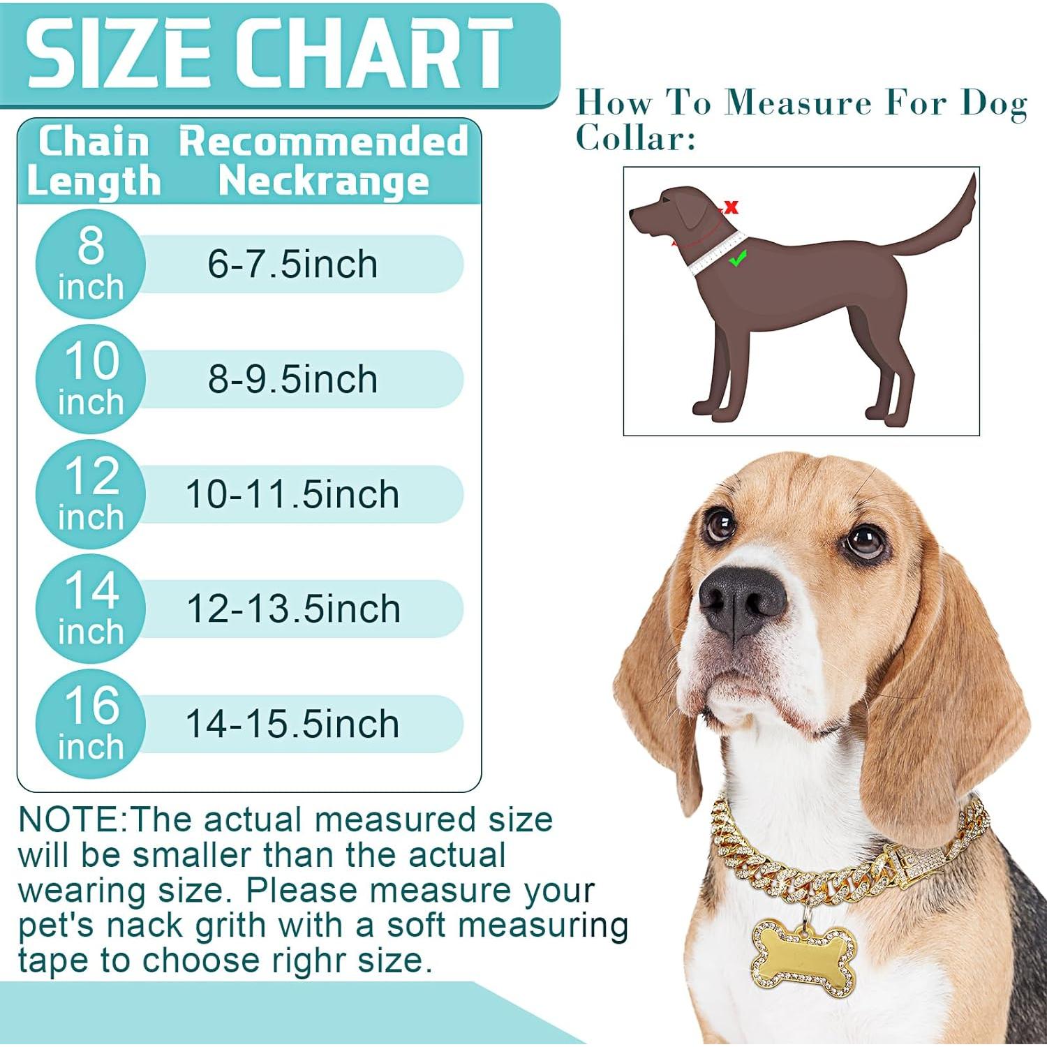 Collar de Cadena para Perros Hillban Dorado 35.6 cm con Etiqueta